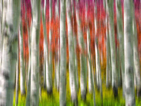 Progression of autumn