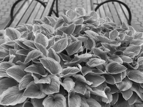 Untitled l1600275