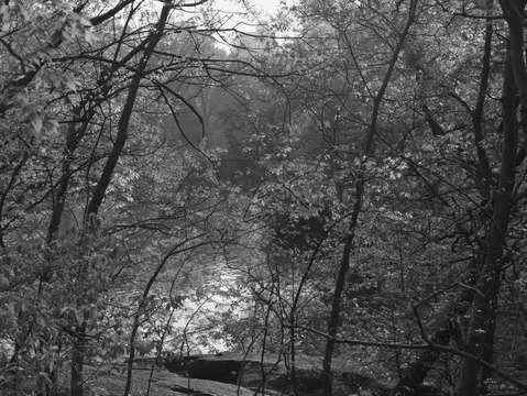 Untitled l1600289