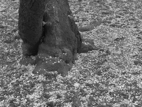 Untitled l1600292