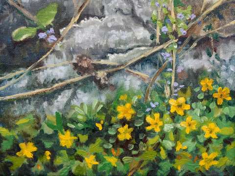 Spring flowers on the old wall