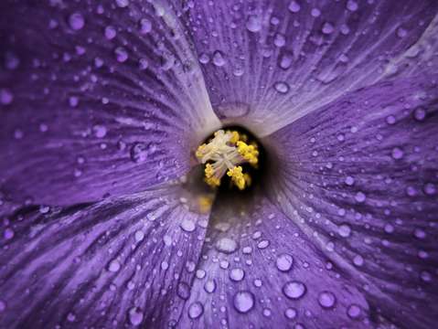 Beautiful rain