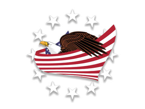 Eagle of the free v10