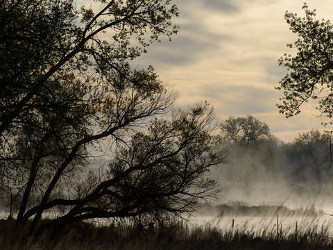 Mists over lake ladore
