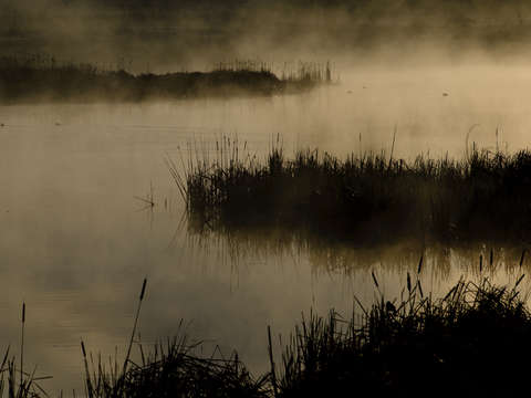 Misty lake ladore sunrise