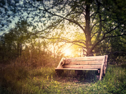 Sunset on a wooden bench
