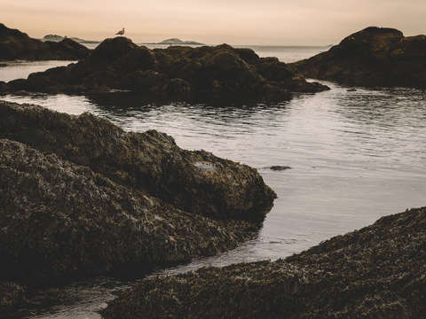 The ragged coastline