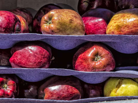 Apples and Sunlight