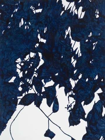 Blue black leaves