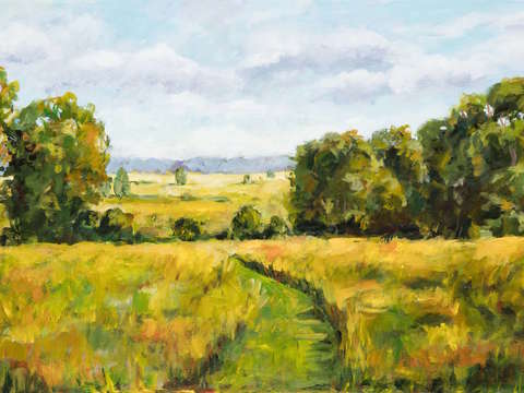 Through the fields