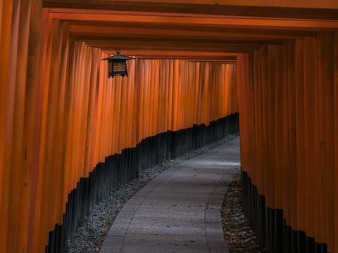 Untitled fushimi inari
