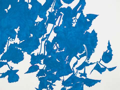 Blue leaves ii