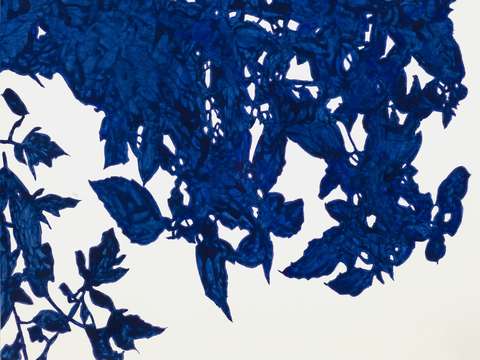 Royal blue leaves ii