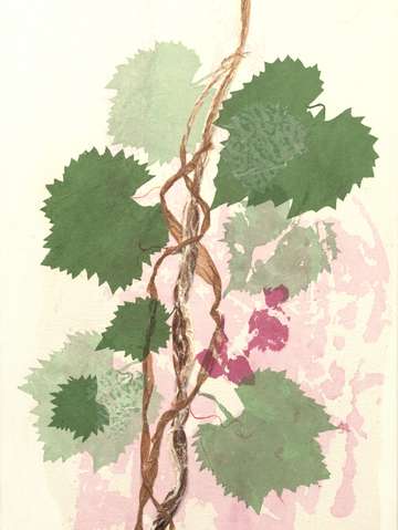 Grand fathers grapes