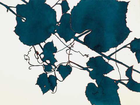 Teal grape leaves