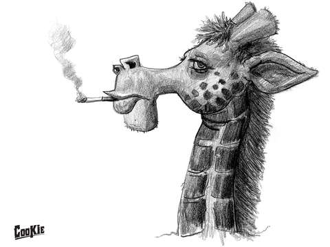 Smoking giraffe