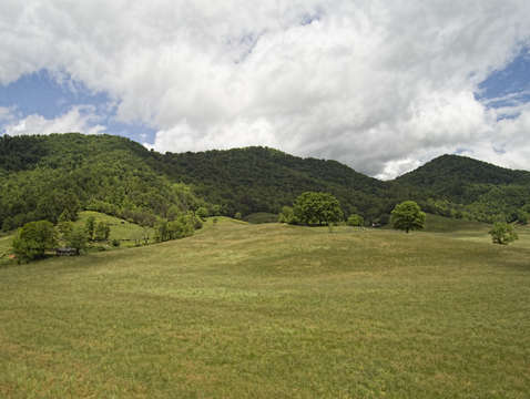 The dairy