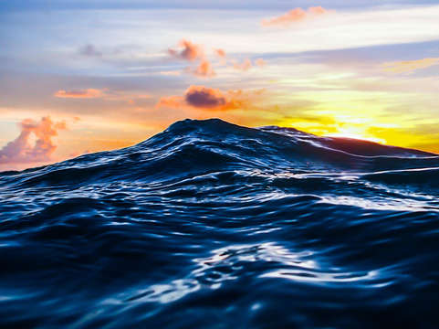 Horizon i