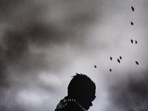 Doves
