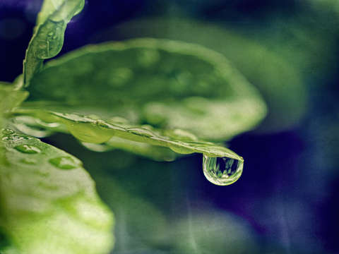 Rain fall i