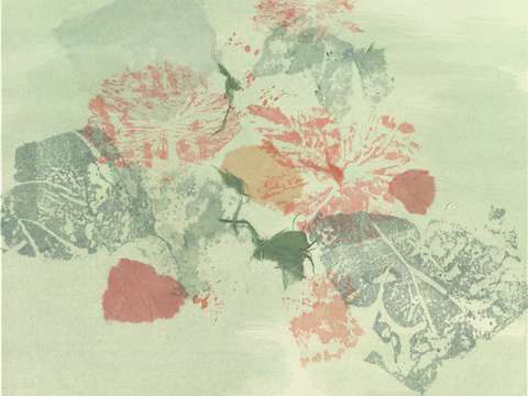 Lillie pads in abstract