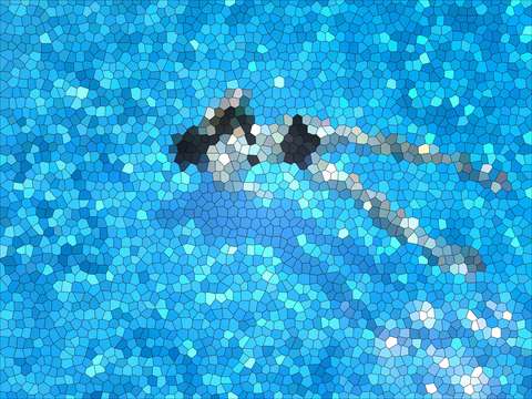 Playful swimming