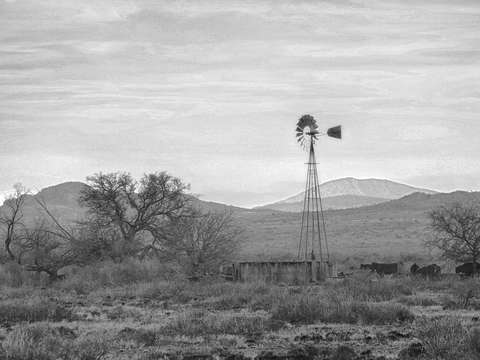 Just a windmill
