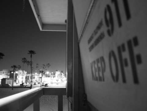 Venice beach 2