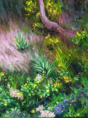 Flowers in shade
