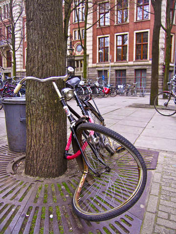 Amsterdam bicycle problem