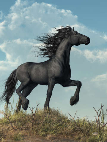 Friesian