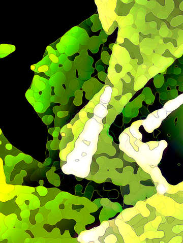 Leaves 5 green