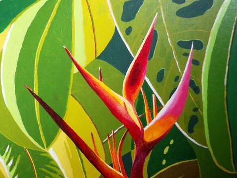Heliconia