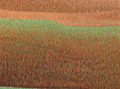 Grassland 70