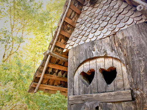 I Built you a Treehouse