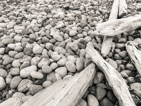 Rocky shore 1