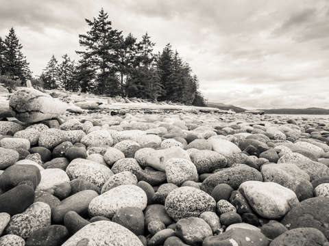 Rocky shore 2
