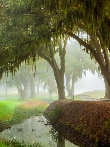 Misty canal