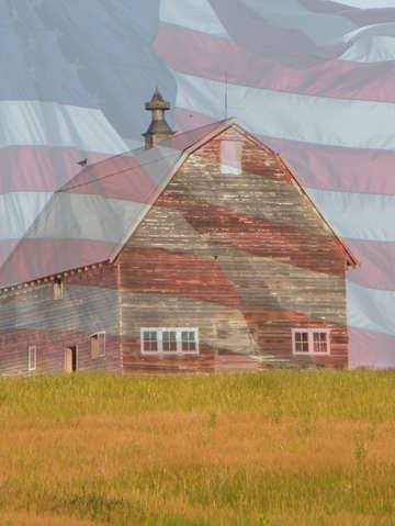Freedom barn