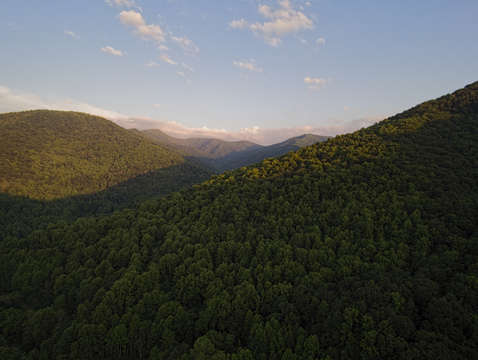 Stoney fork