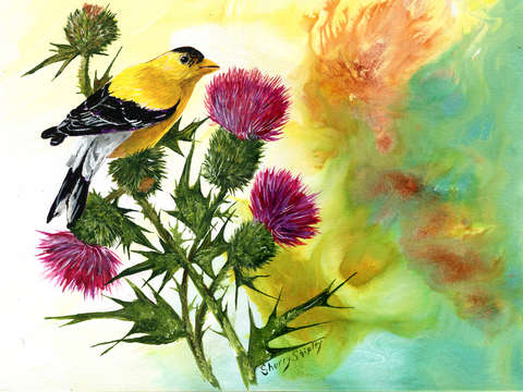 Goldfinch with thistles