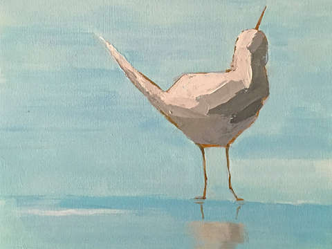 Plover ll