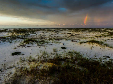 Rainbow on the beach