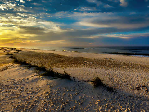 Sunrise with the grasses on the beach