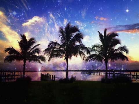 Tropical evening
