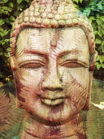 The face of buddha