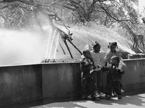 Fountain II
