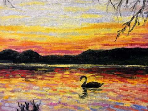 Single swan in pond at dusk