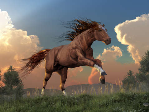 Running free 3