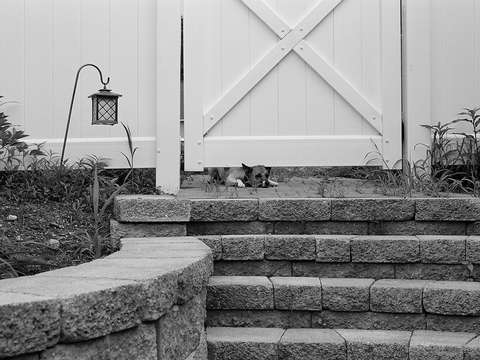 In Under the Out Door